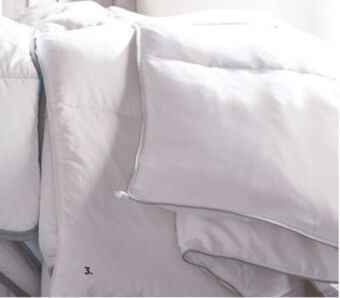 Sleep Country Premium white down duvet offer