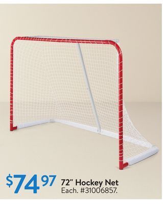 Walmart 72" hockey net offer