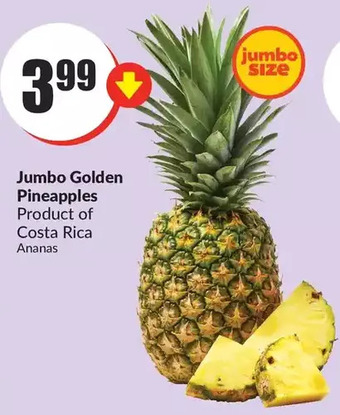FreshCo Jumbo golden pineapples offer