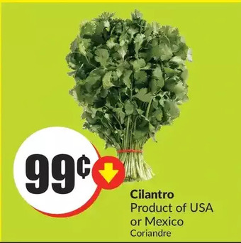FreshCo Cilantro offer