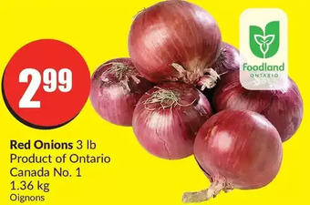 FreshCo Red onions offer