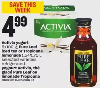 Independent Grocer Activia yogurt, pure leaf iced tea or tropicana lemonade offer