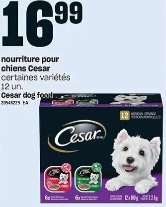Provigo Cesar Dog Food 12 un. offer