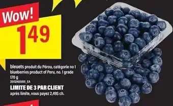 Maxi Blueberries 170 g offer