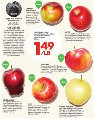 Longo's Mcintosh delicious apples offer