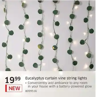 The Source Eucalyptus curtain vine string lights offer