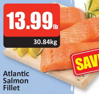 Starsky Atlantic salmon fillet offer