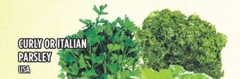 Marché Adonis Curly or italian parsley offer