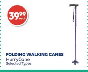 Wellwise by Shoppers Folding walking canes hurrycane offer