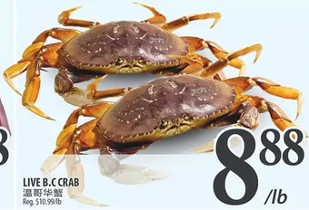 Al Premium Food Mart Live b.c crab offer
