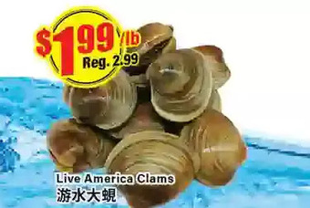 Btrust Supermarket Live america clams offer