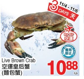 T&T Supermarket Live brown crab offer