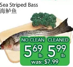 Ample Food Market Sea striped bass offer