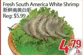 Hong Tai Supermarket Fresh south america white shrimp offer