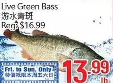 Hong Tai Supermarket Live green bass offer
