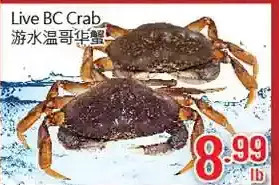 Hong Tai Supermarket Live bc crab offer