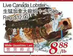 Tone Tai Supermarket Live canada lobster offer