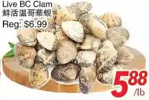 Foody World Live bc clam offer