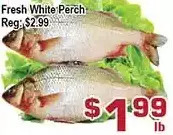 Top Food Supermarket Fresh white perch offer