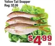 Top Food Supermarket Yellow tail snapper offer