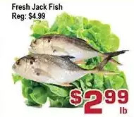Top Food Supermarket Fresh jack fish offer