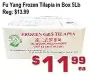 Top Food Supermarket Fu yang frozen tilapia in box offer