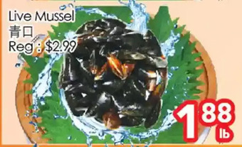 Superking Supermarket Live mussel offer