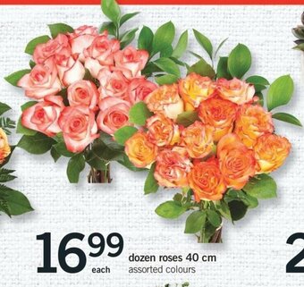 Fortinos Dozen Roses 40 Cm offer