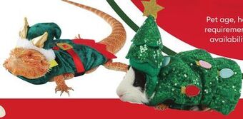 Petsmart Small pet costumes offer