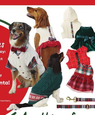 Petsmart Apparel offer