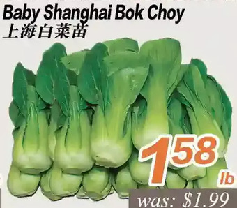 Seasons Foodmart Baby shanghai bok choy offer