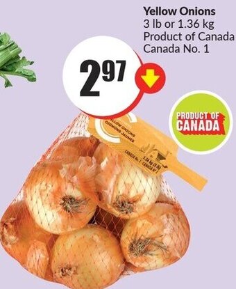FreshCo Yellow Onions offer
