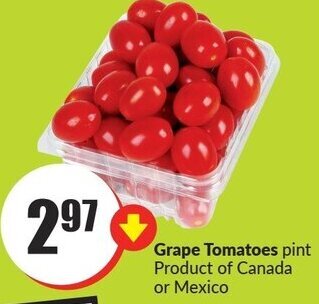 FreshCo Grape Tomatoes offer