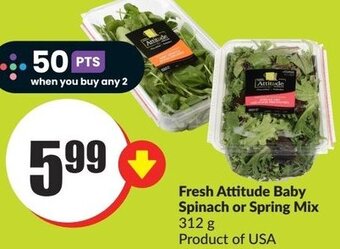 FreshCo Fresh Attitude Baby Spinach or Spring Mix 312 g offer