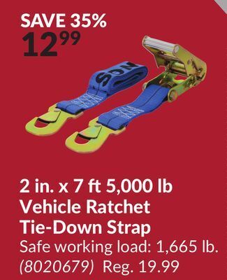 Princess Auto 2 in. x 7 ft5,000 lb vehicle ratchet tie-down strap offer