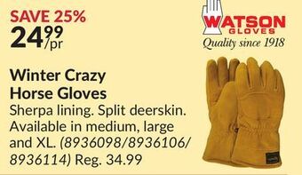 Princess Auto Winter crazy horse gloves offer