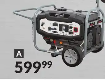 Princess Auto Pro.point gasoline generators with electric start offer
