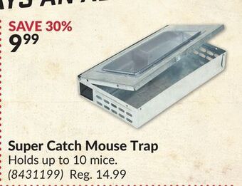 Princess Auto Super catch mouse trap offer