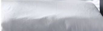 Sleep Country Malouf protect mattress protector offer