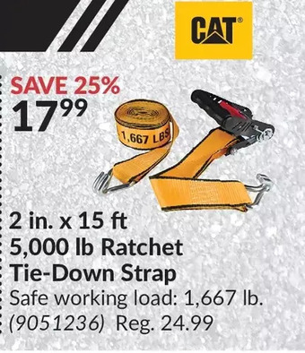 Princess Auto Cat 2 in. x 15 ft 5,000 lb ratchet tie-down strap offer