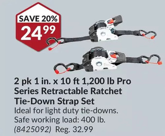 Princess Auto 2 pk 1 in. x 10 ft 1,200 lb pro series retractable ratchet tie-down strap set offer