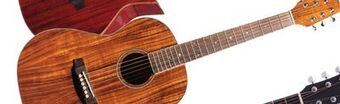 Long & McQuade Denver parlor size acoustic guitar - koa offer