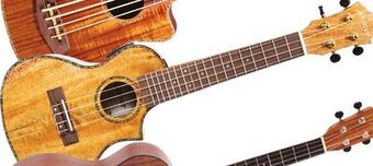 Long & McQuade Denver duke ce mango active concert ukulele offer