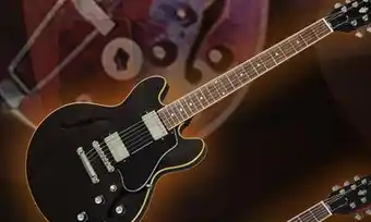 Long & McQuade Gibson es-339 trans ebony offer