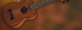 Long & McQuade Epiphone epilani soprano ukulele offer
