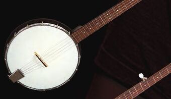 Long & McQuade Gold tone ac-1 composite 5-string open back banjo with bag offer