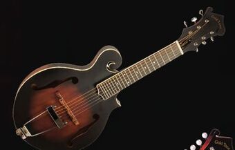 Long & McQuade Gold tone f-6 6-string f-style mando-guitar with pickup and case offer