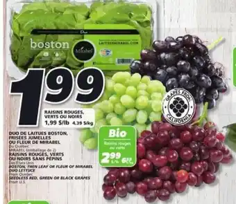IGA Boston Twin Leaf Or Fleur Of Mirabel Duo Lettuce Oder Seedless Red, Green Or Black Grapes offer