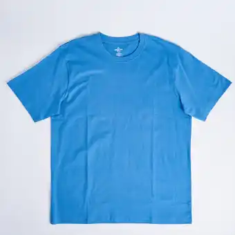 Giant Tiger Mountain ridge men's big guy crew neck t-shirt offer