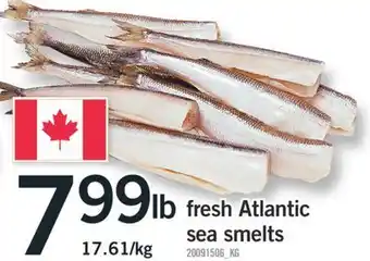 Fortinos Fresh atlantic sea smelts offer